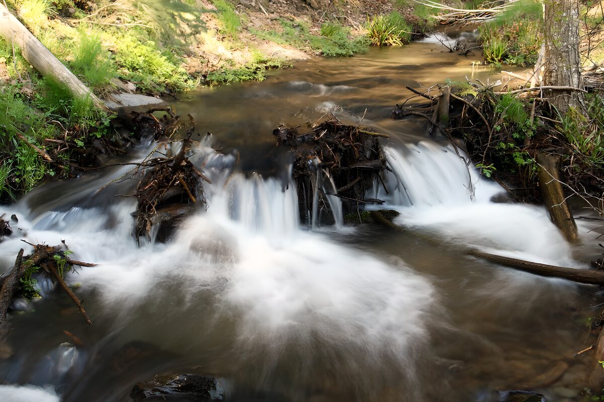 OCUK72450: Tranquil Stream Flowing Through Nature