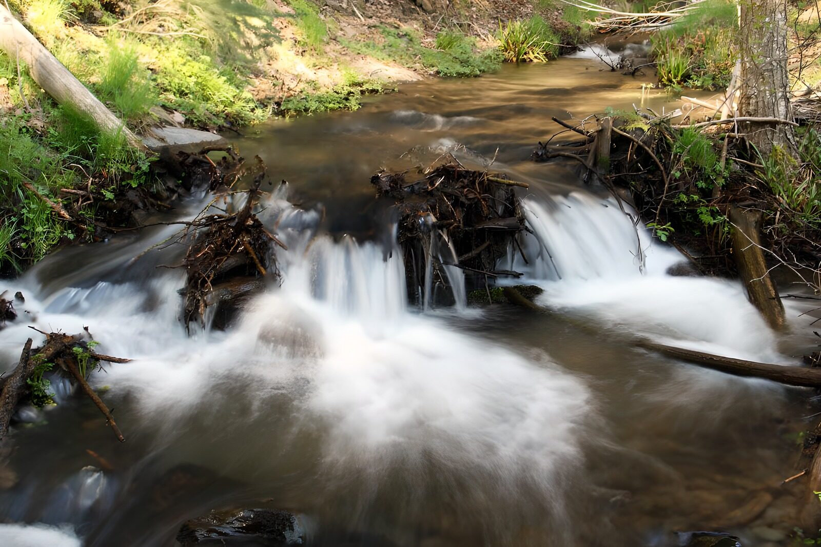 OCUK72450: Tranquil Stream Flowing Through Nature