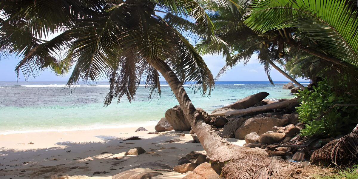 OCUK79976: Tropical Paradise: Serenity by the Shore