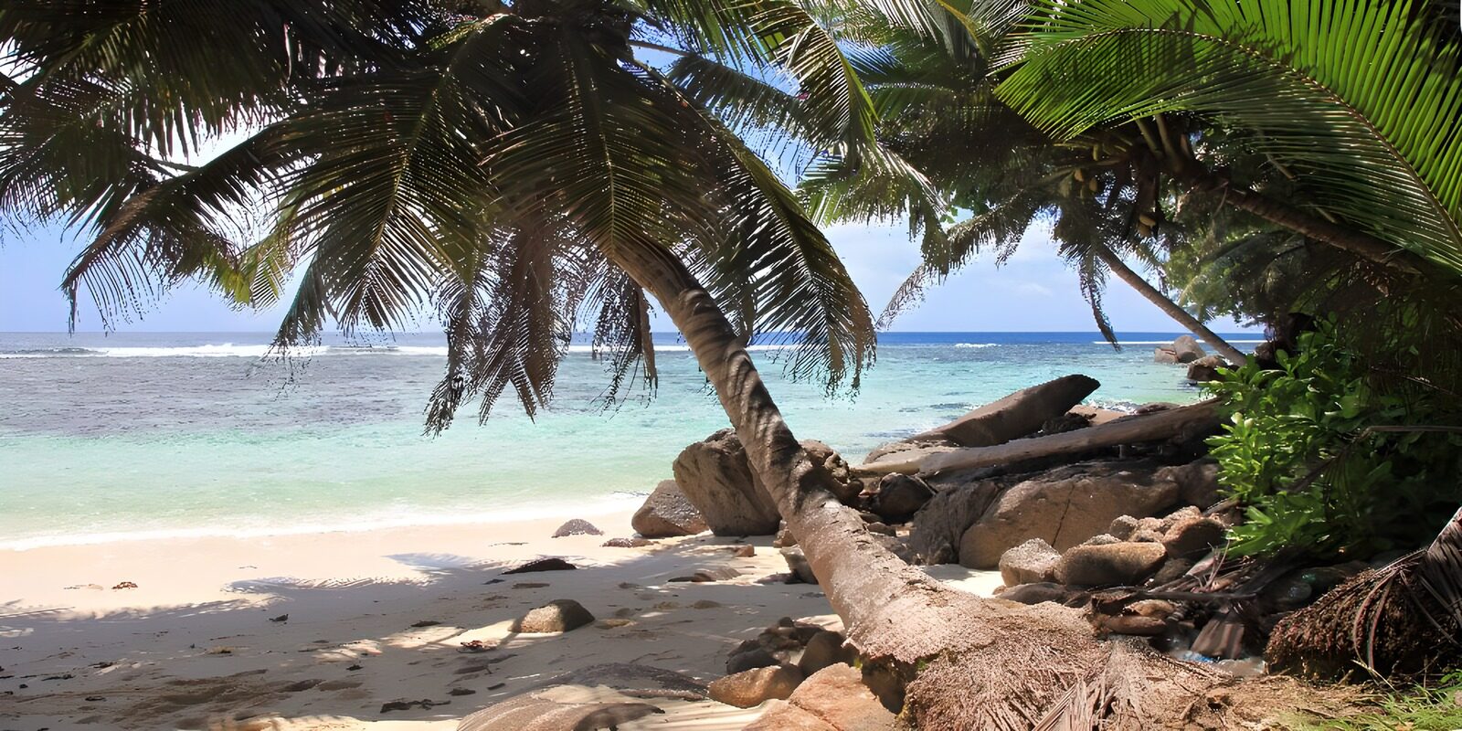 OCUK79976: Tropical Paradise: Serenity by the Shore