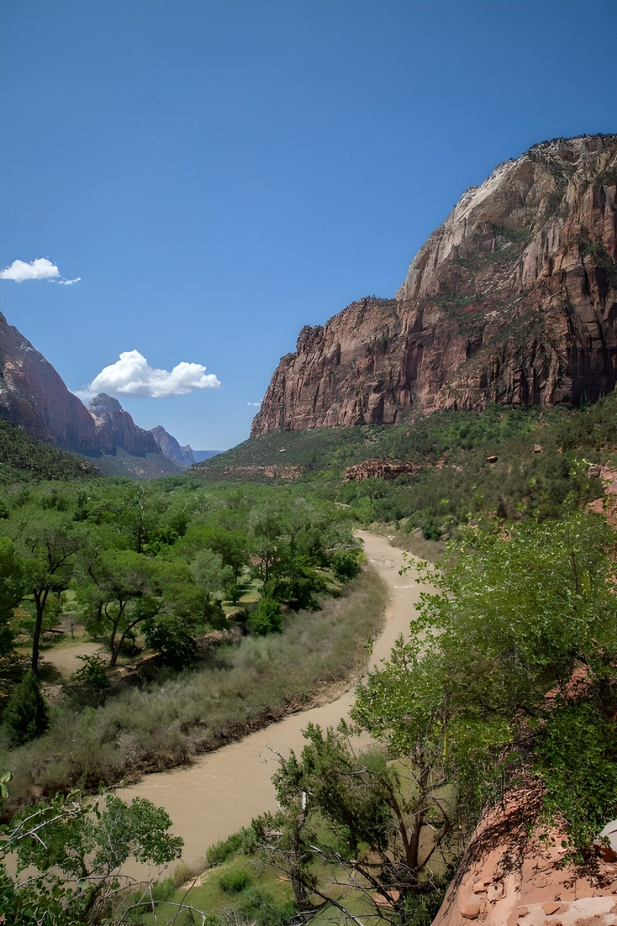 OCUK76577: Scenic View of Zion National Park