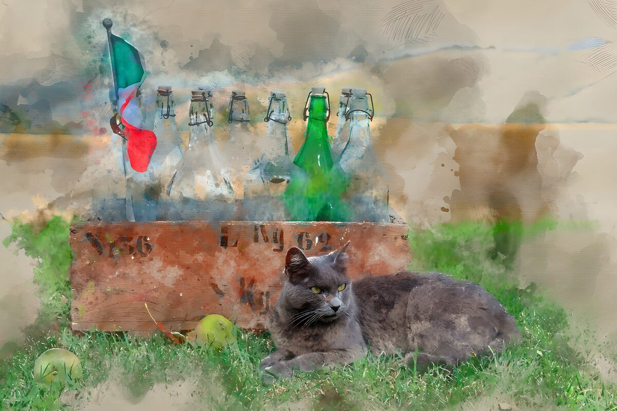 OCUK13924: Tranquil Cat by Vintage Bottles