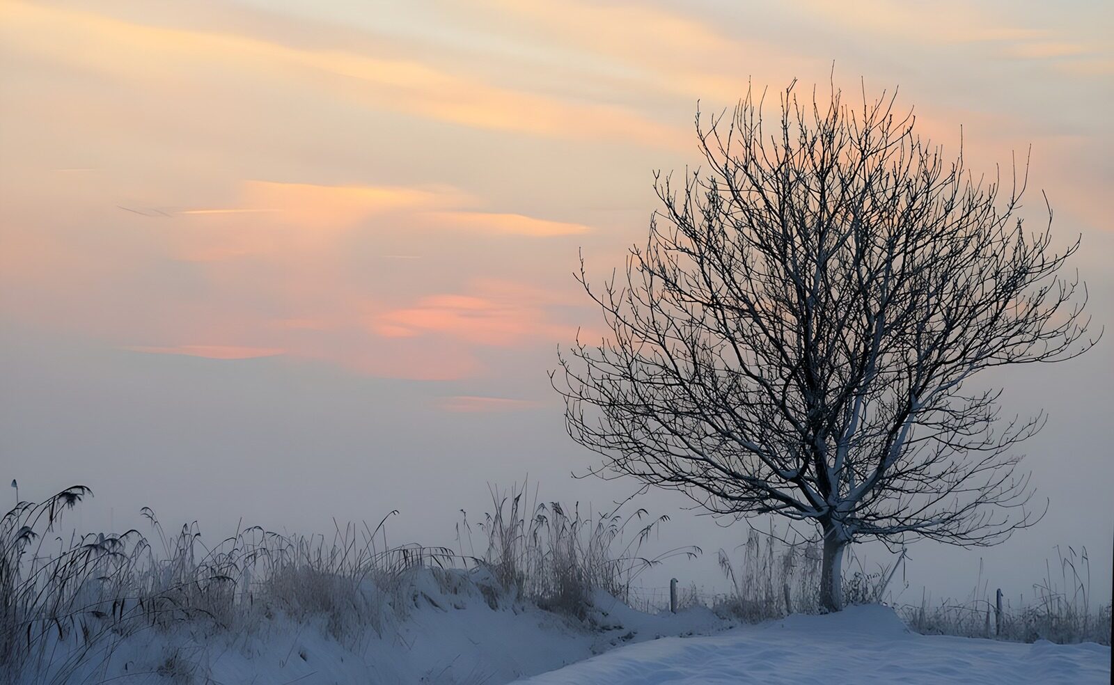 OCUK50292: Serene Winter Twilight