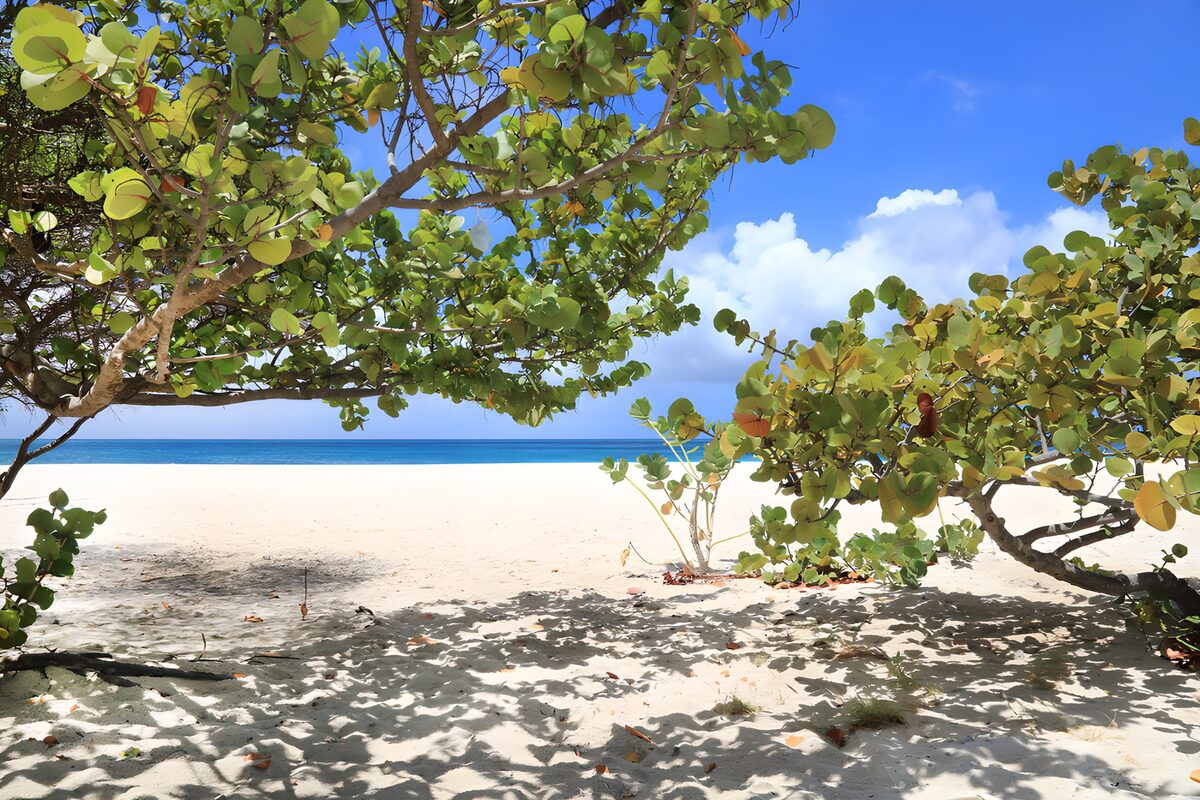 OCUK54467: Tranquil Beach Escape