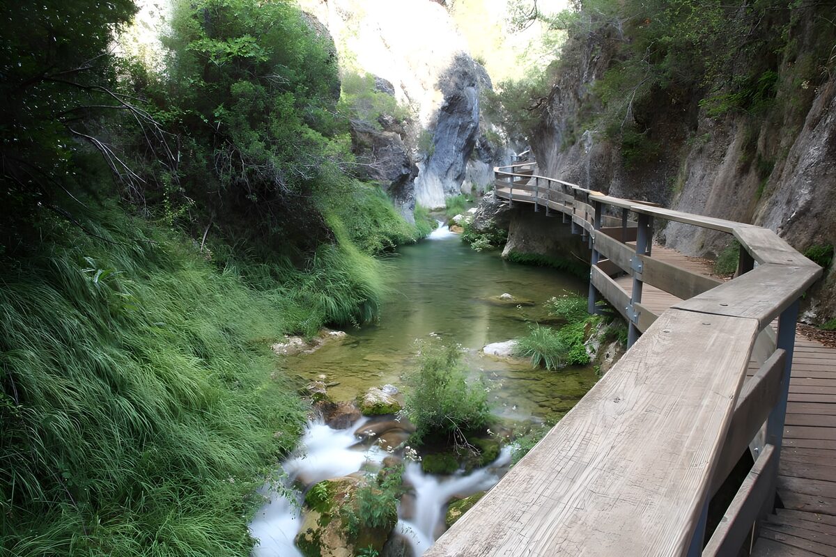 OCUK27009: Serene River Pathway in Nature