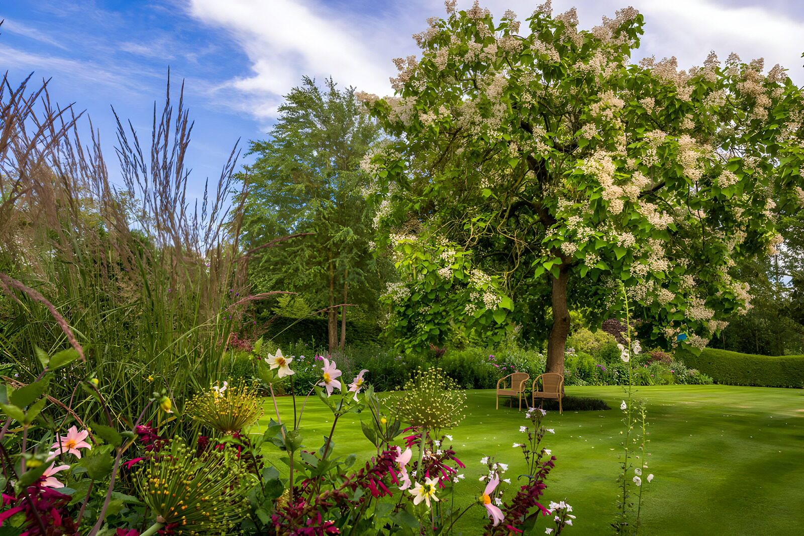 OCUK34294: Summer Garden with Flowering Tree