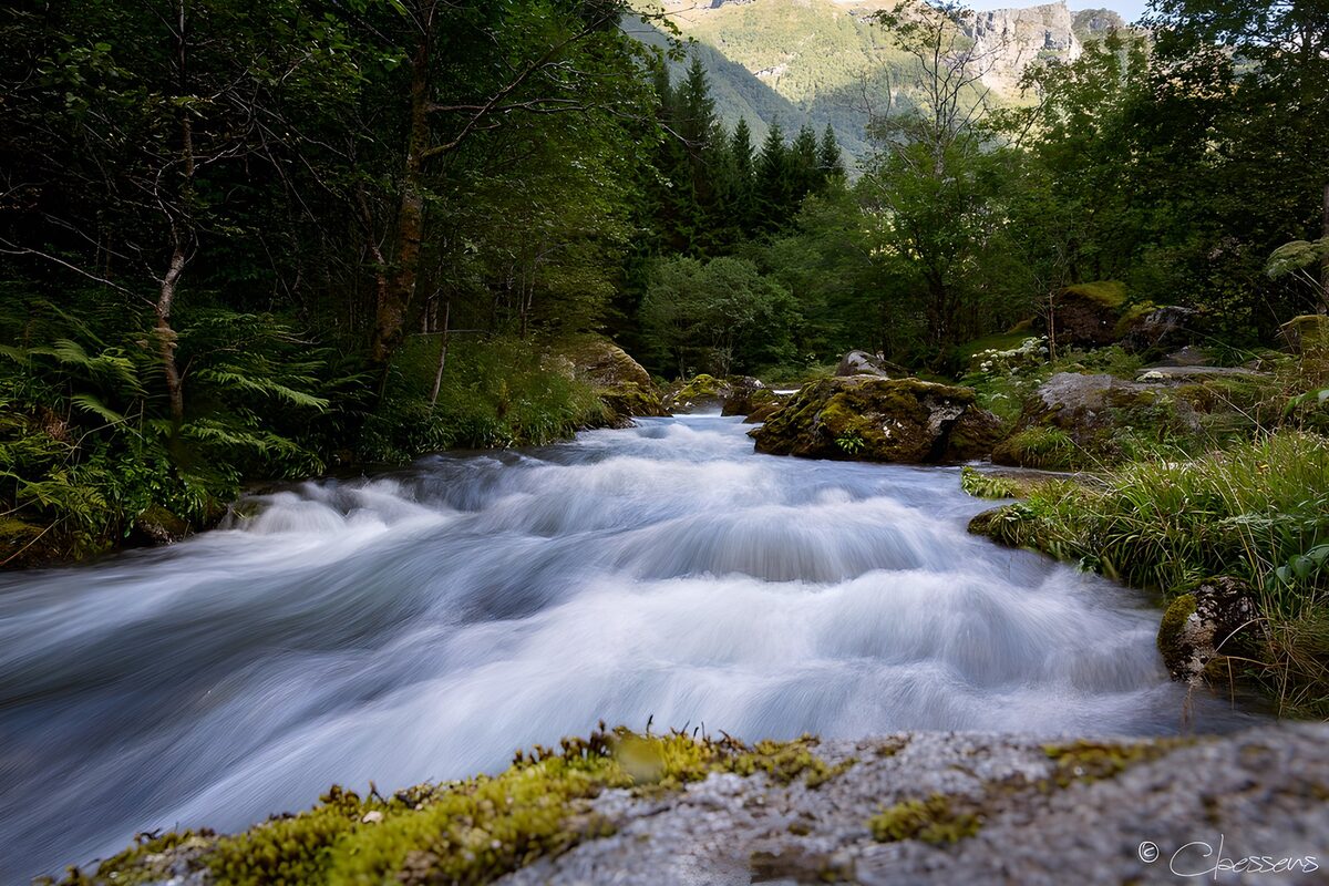 OCUK75940: Serene Mountain Stream