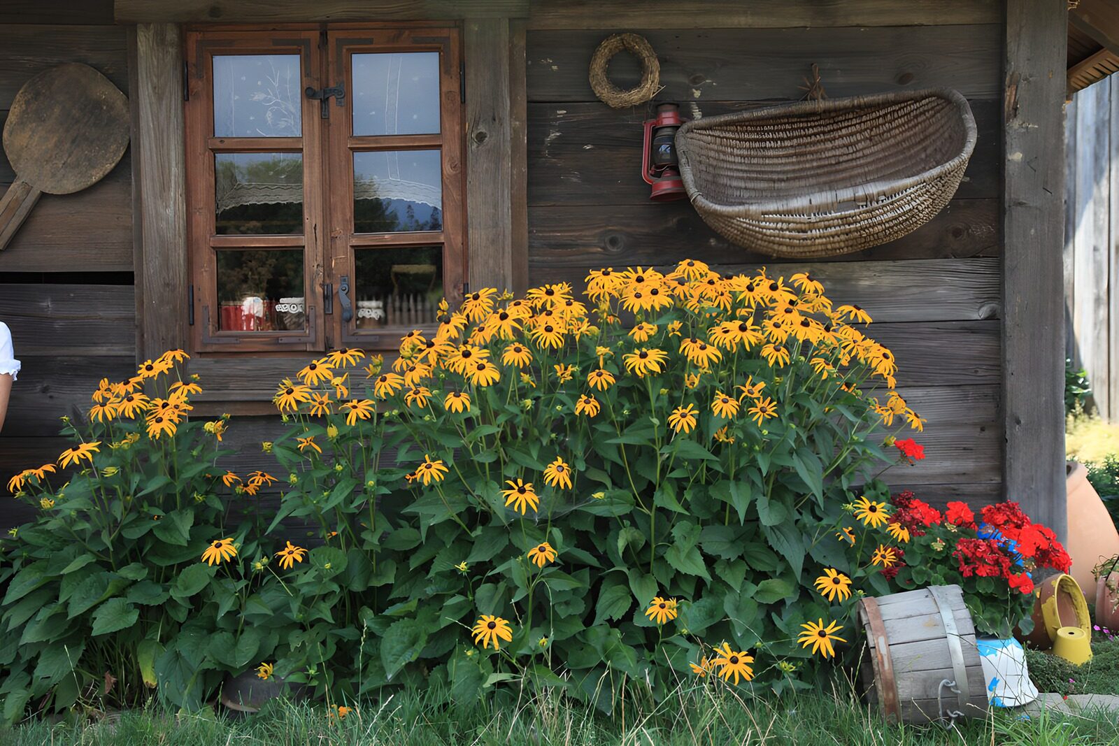 OCUK31873: Charming Cottage with Flourishing Flowers