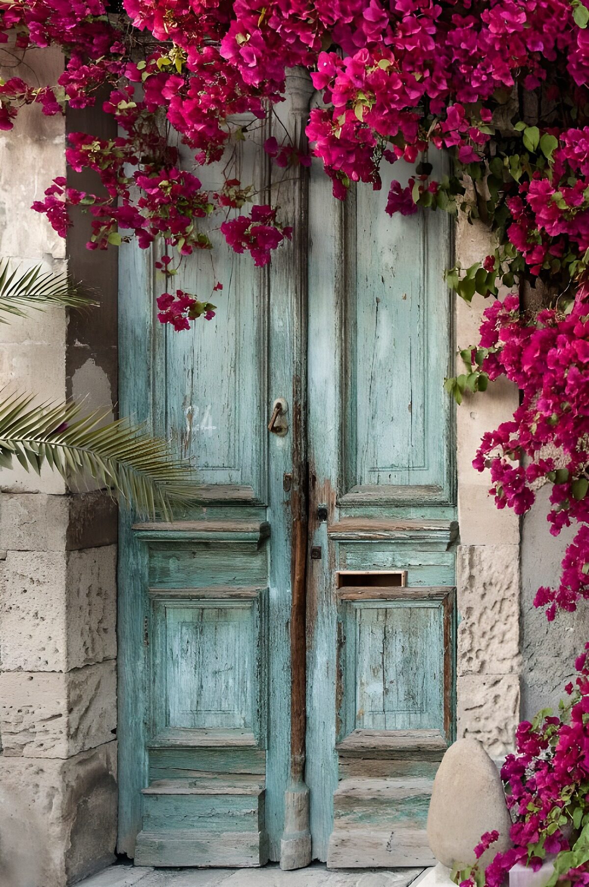 OCUK24254: Old blue door overgrown with Bougainville