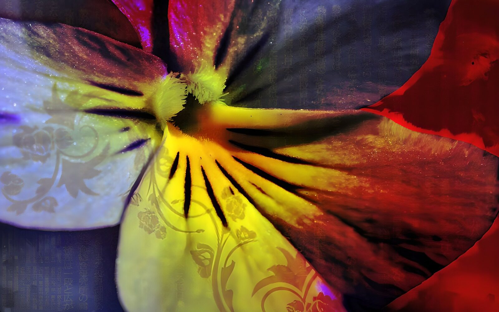 OCUK38610: Flower photo 34