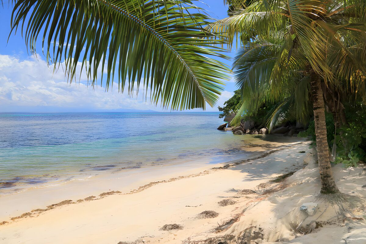 OCUK17513: Tranquil Tropical Beach Serenity