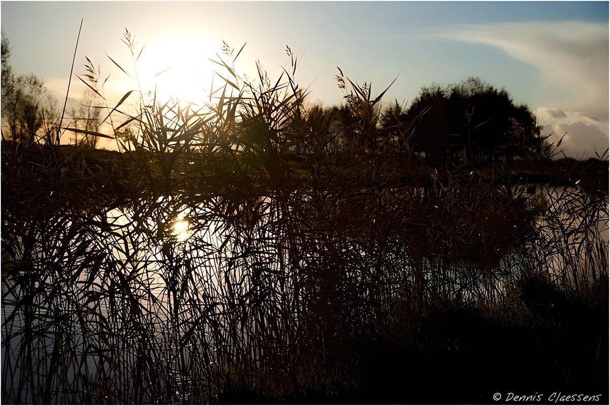 OCUK43280: Serene Sunset Over the Water