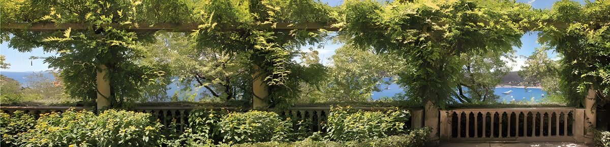 OCUK40681: Verdant Serenity Overlooking the Sea