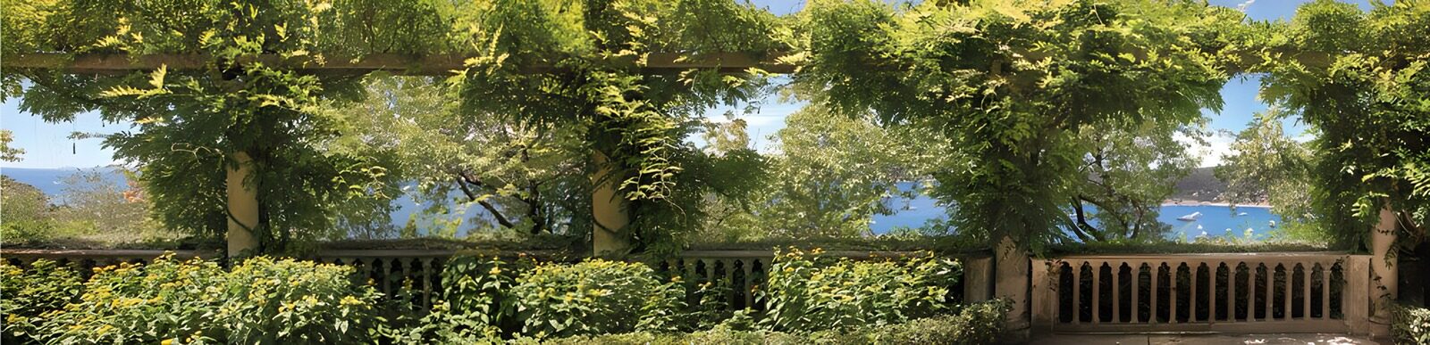 OCUK40681: Verdant Serenity Overlooking the Sea