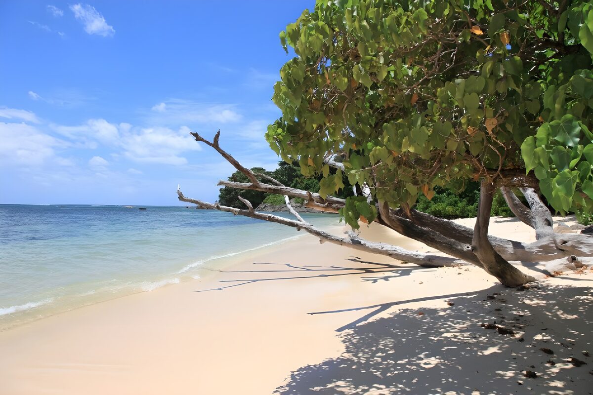 OCUK65531: Serene Beachside Escape