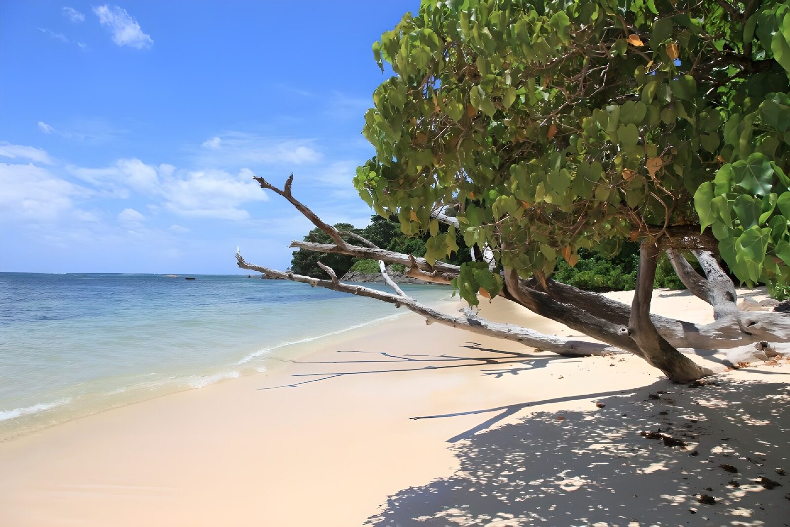 OCUK65531: Serene Beachside Escape