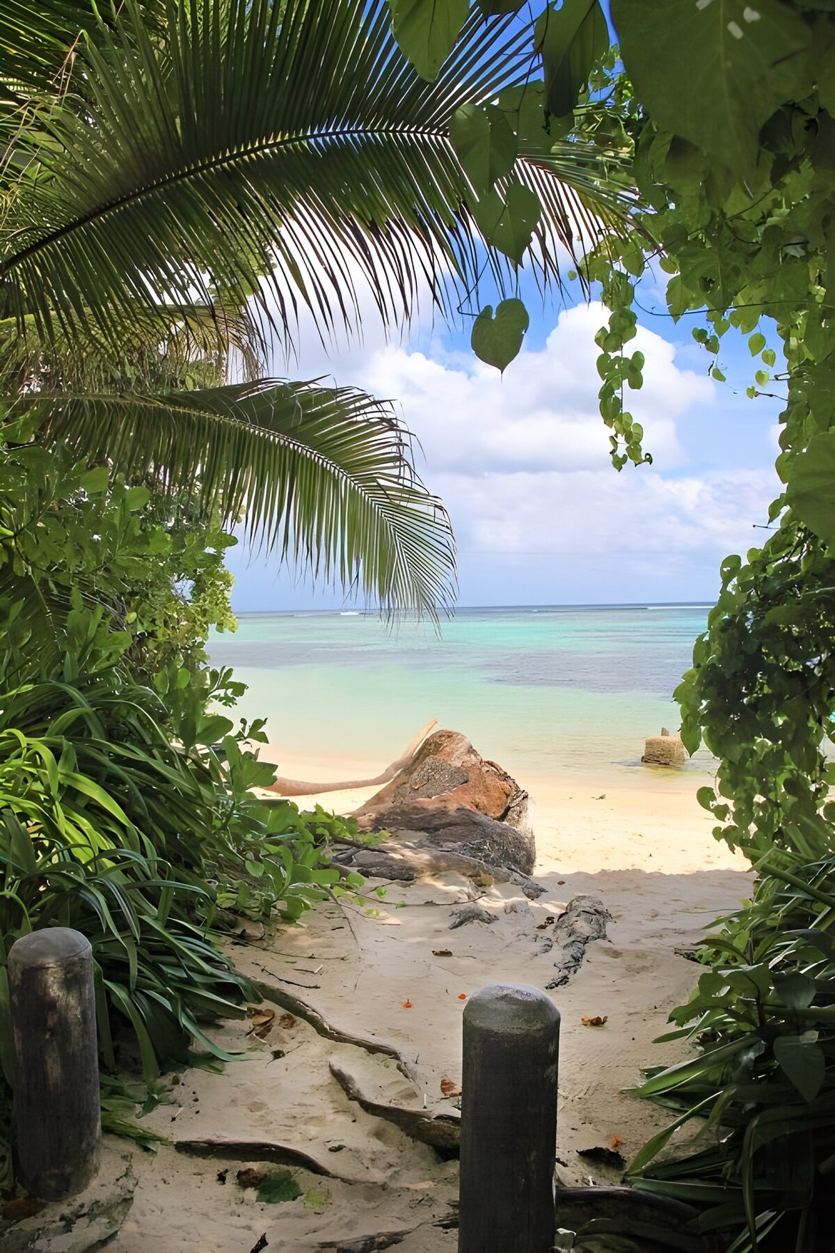 OCUK78222: View at a tropical beach and ocean