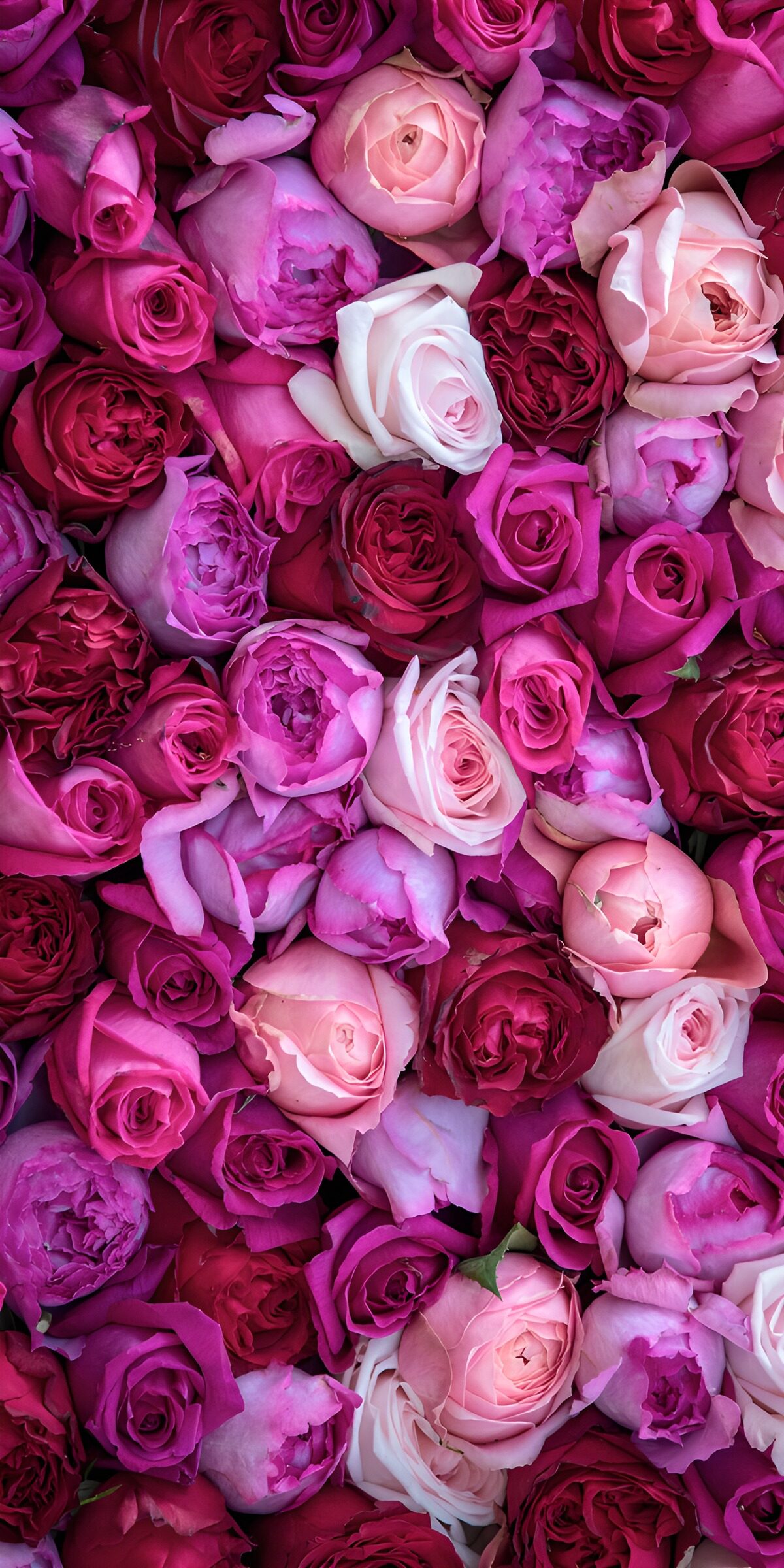OCUK17542: Vibrant Rose Bouquet