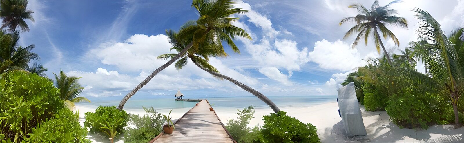 OCUK57639: Tropical Paradise Pathway