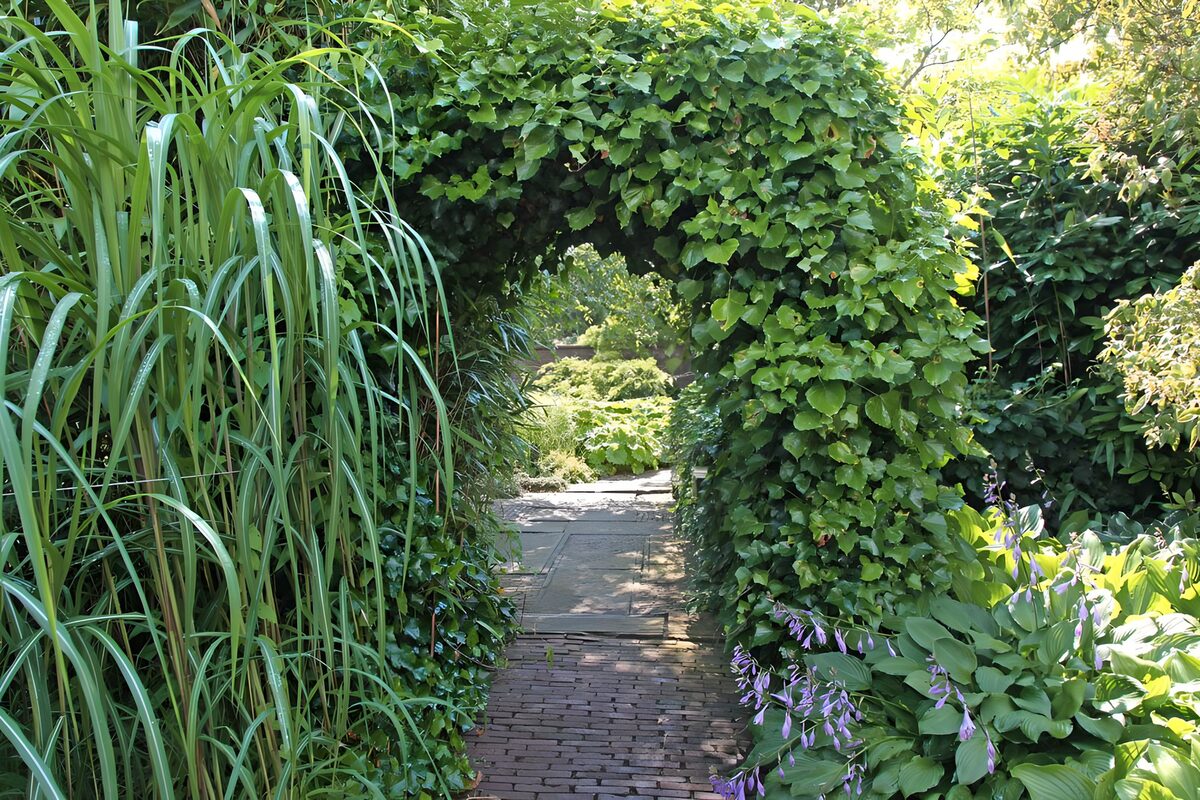 OCUK95459: Enchanted Garden Pathway
