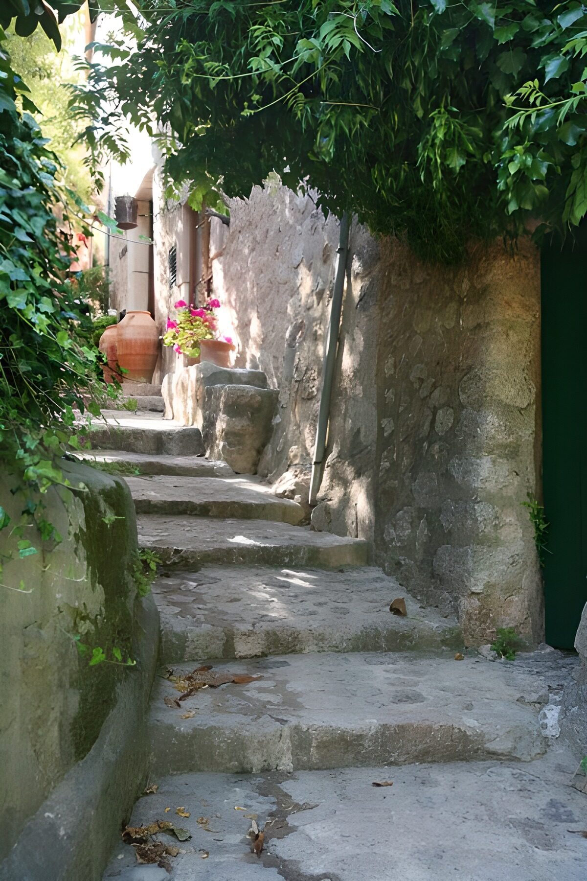 OCUK19531: Small steps along stone wal with hanging foliage 1