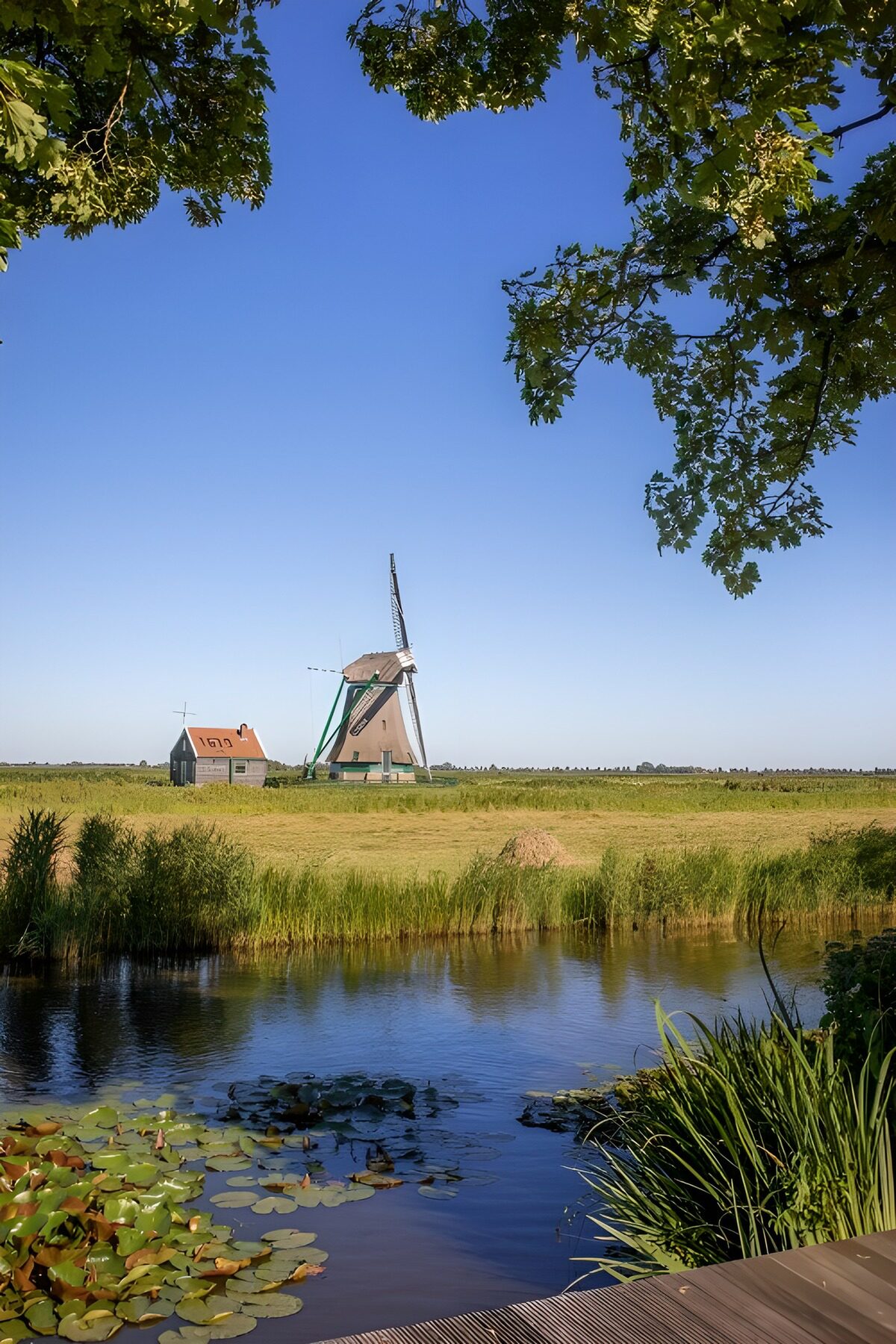 OCUK98848: Picturesque Dutch Windmill Landscape