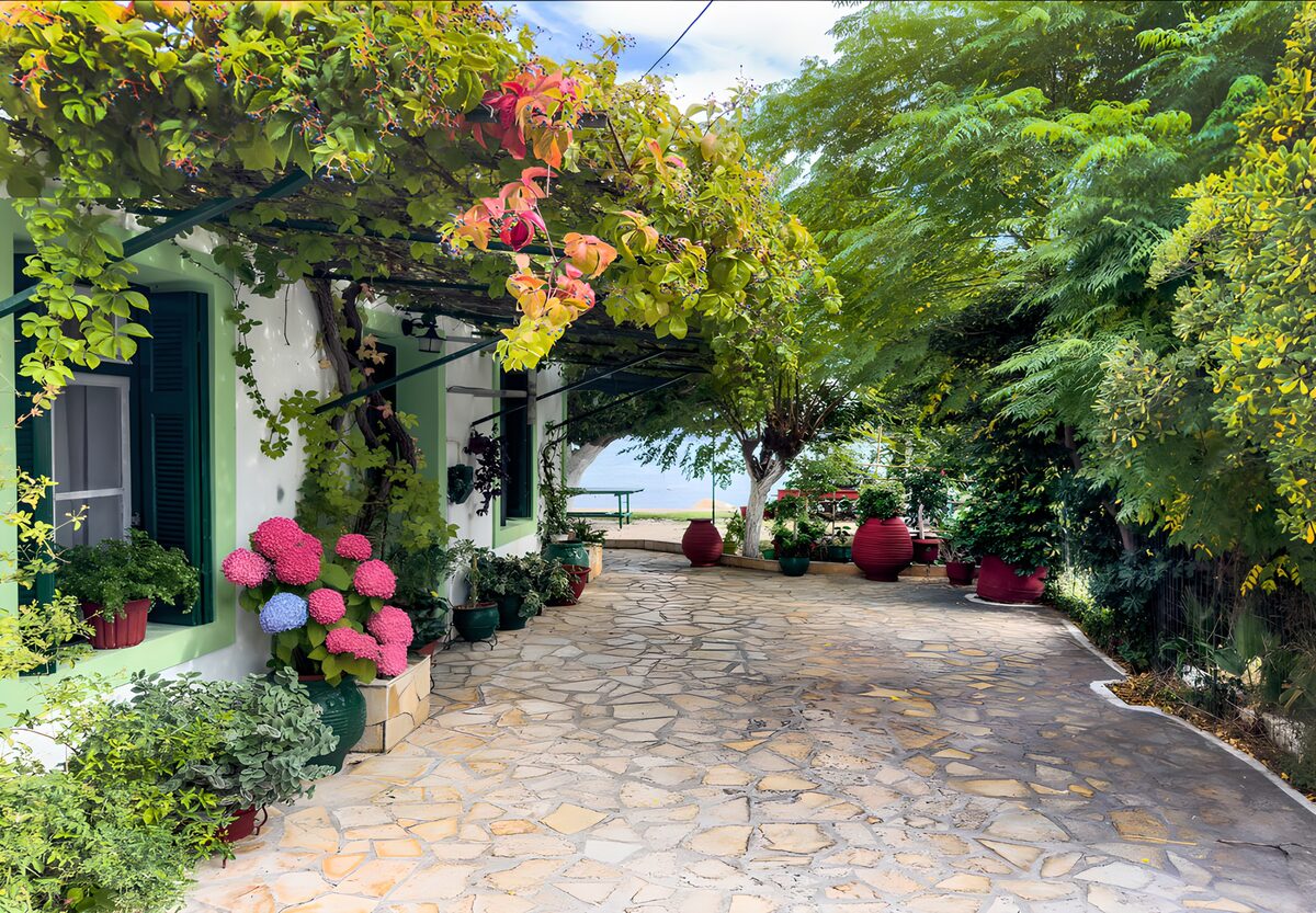 Vine-Covered Seaside Courtyard