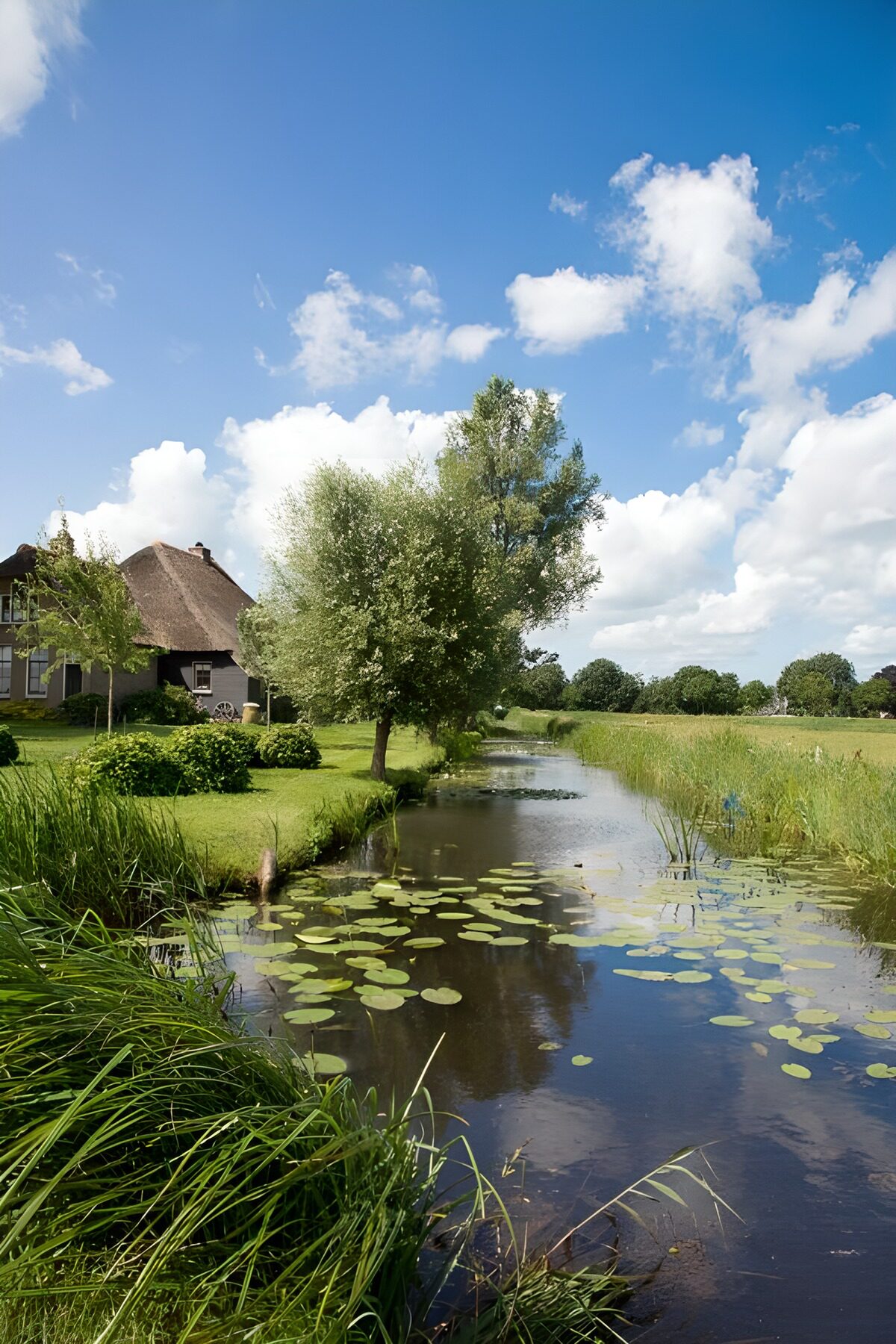 Canal along the farm
