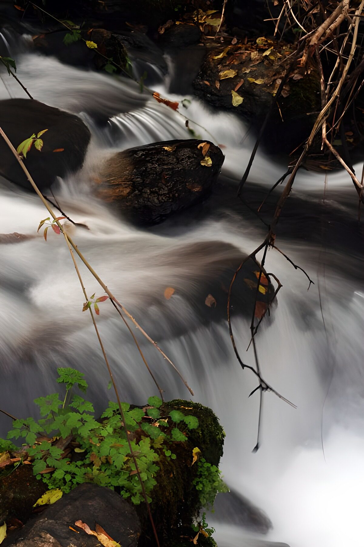 OCUK60718: Serenity in Motion