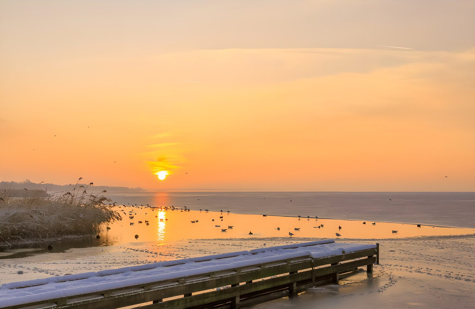 OCUK66230: Serene Winter Sunrise over Frozen Water
