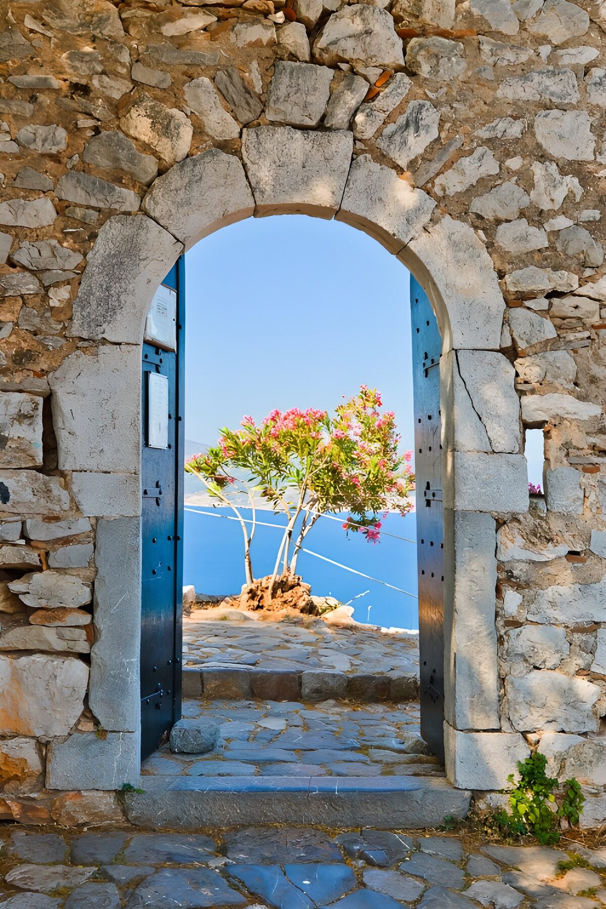 OCUK76761: Coastal Archway with Blossoming Tree