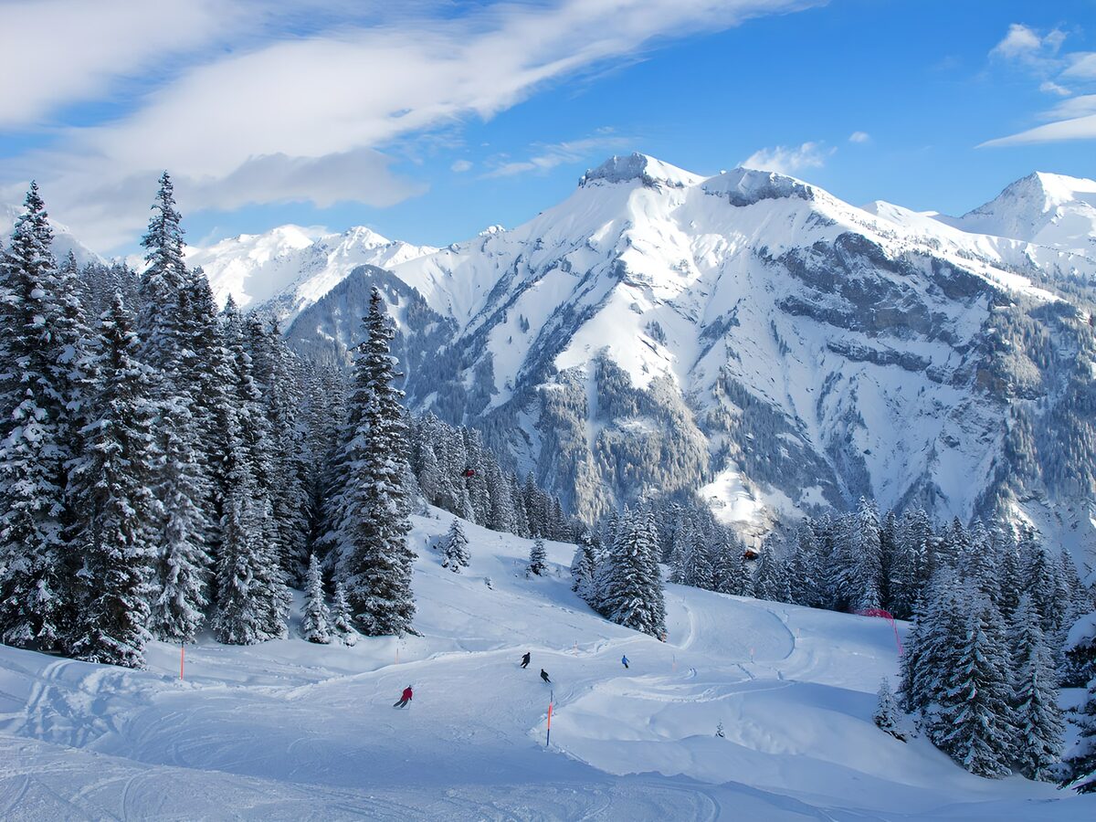 OCUK69896: Snowy Mountain Ski Resort Adventure