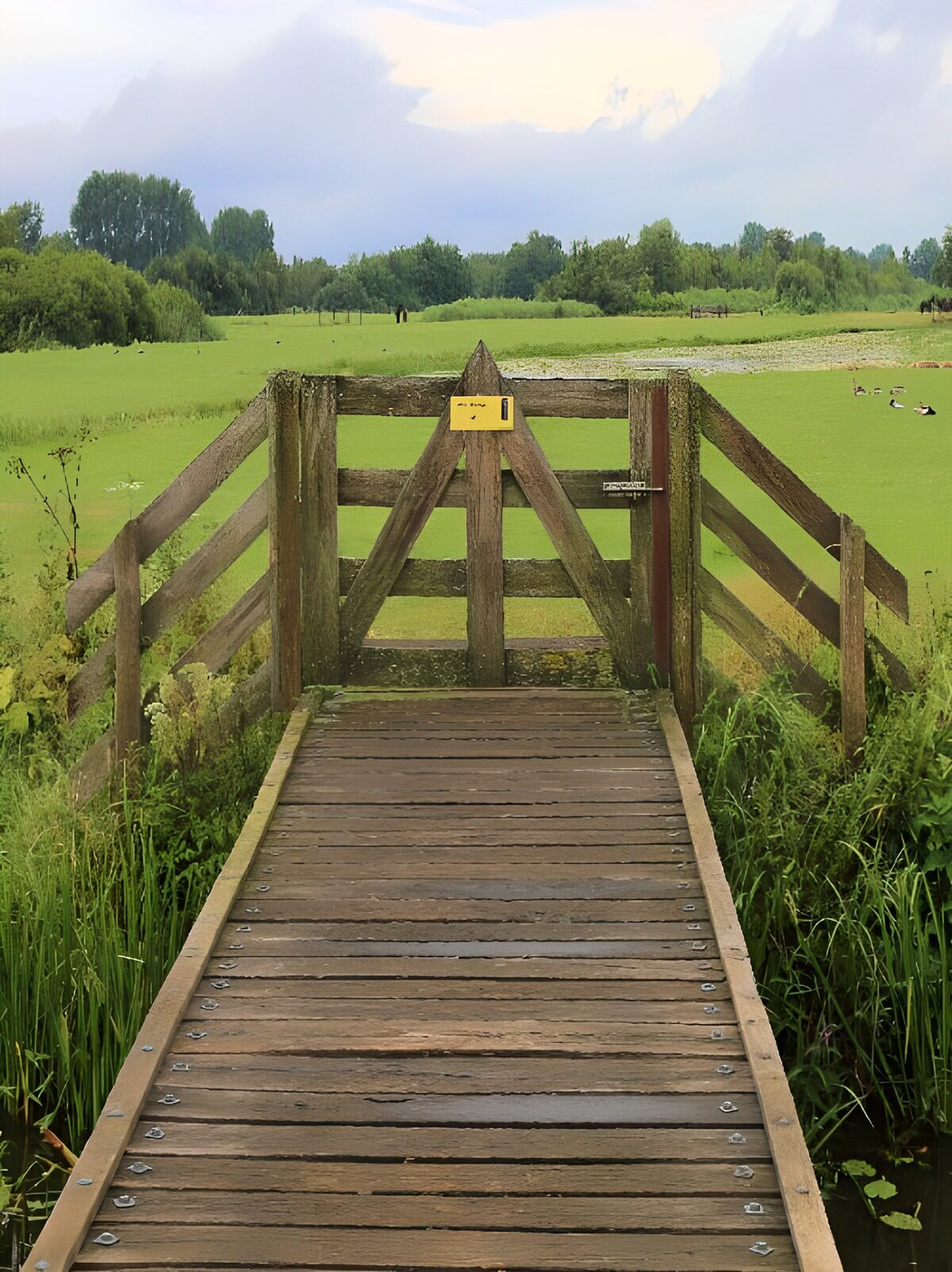 OCUK61158: Fence to a natural landscape