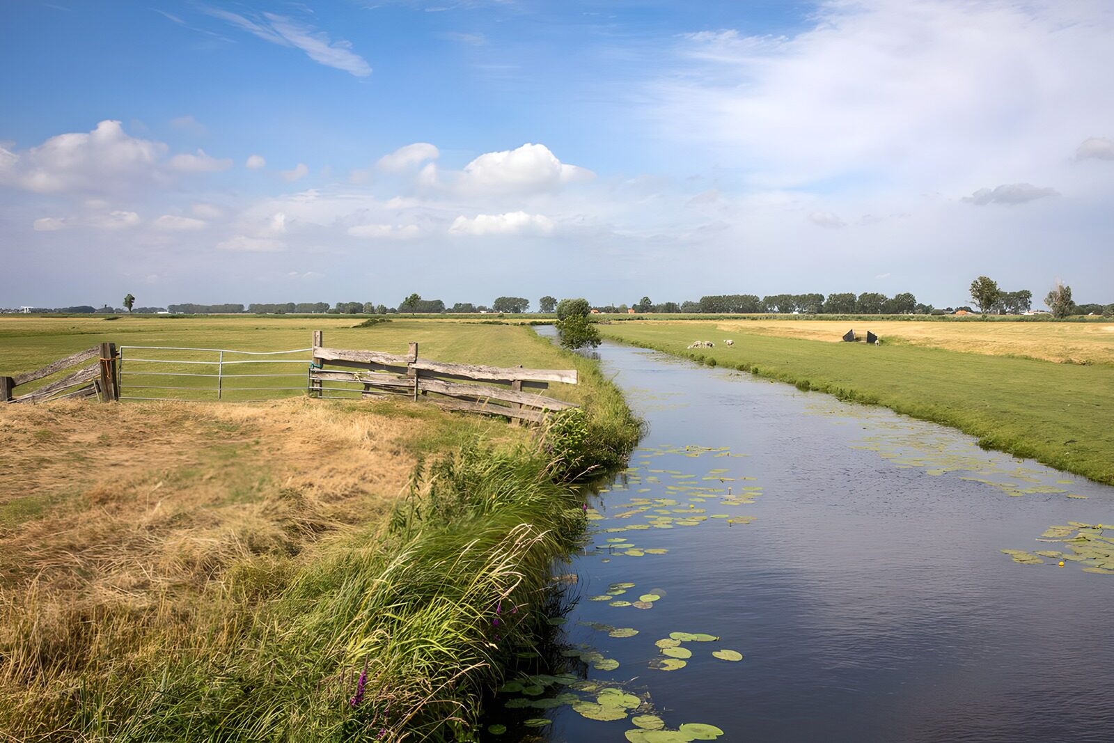 OCUK74394: Serene Countryside Stream and Fields