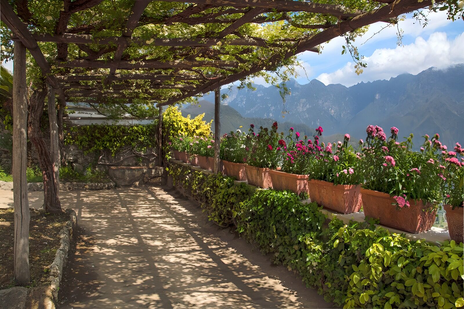 OCUK78645: Sunny terrace with many flowerpots on the side and with a pergola covered with flowers