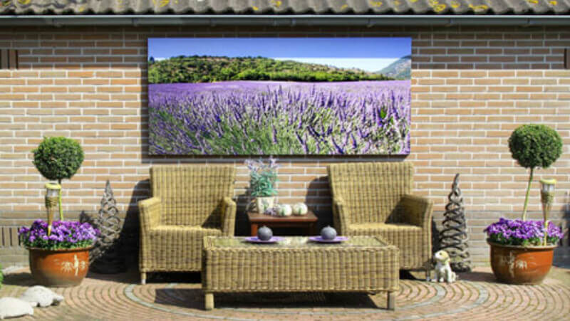 A beautiful lavender field